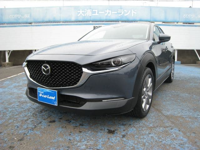 Car image 1