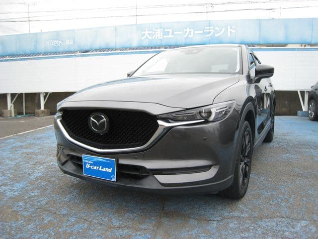 Car image 1