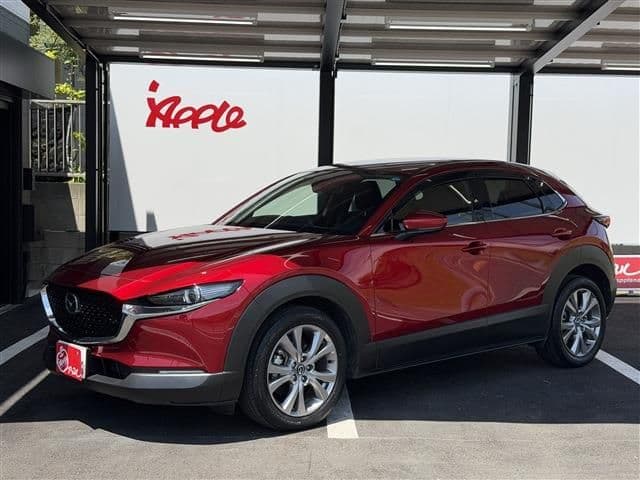 Car image 1