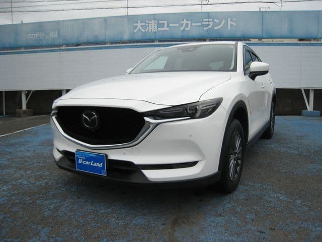 Car image 1