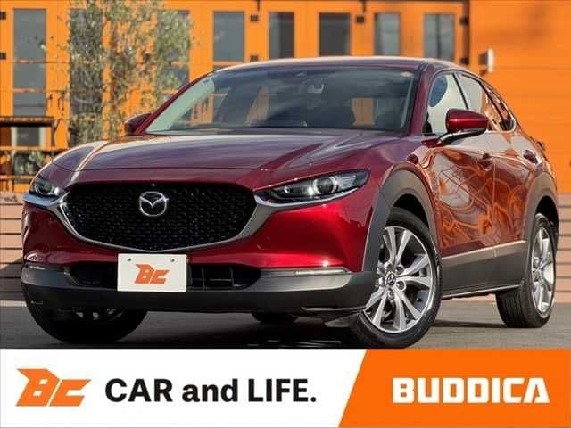 Car image 1