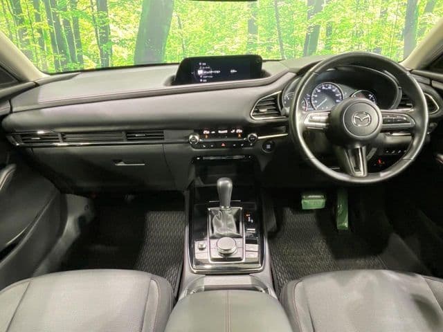 Car thumbnail 2
