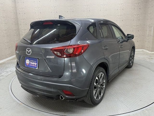 Car thumbnail 4
