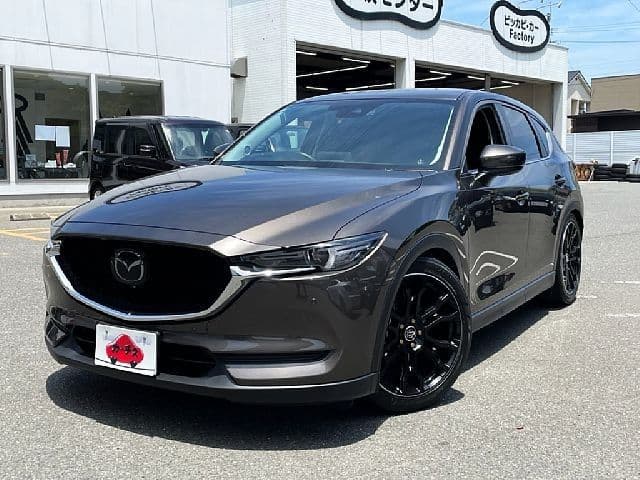 Car image 1