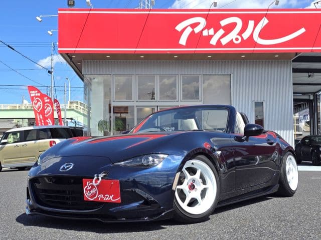 Car image 1