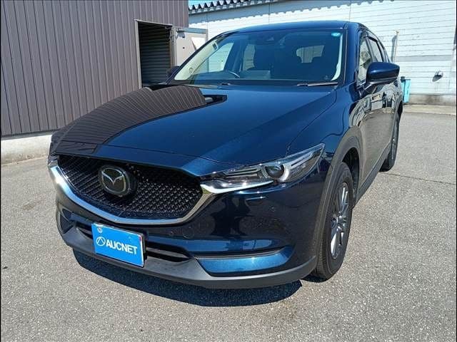 Car image 1