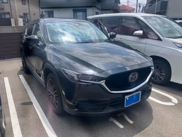 Car image 1