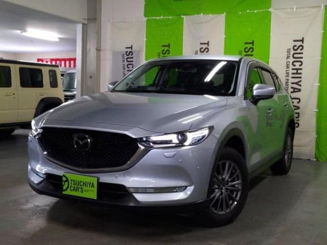 Car image 1
