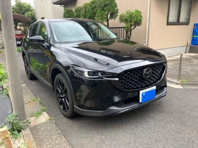 Car image 1