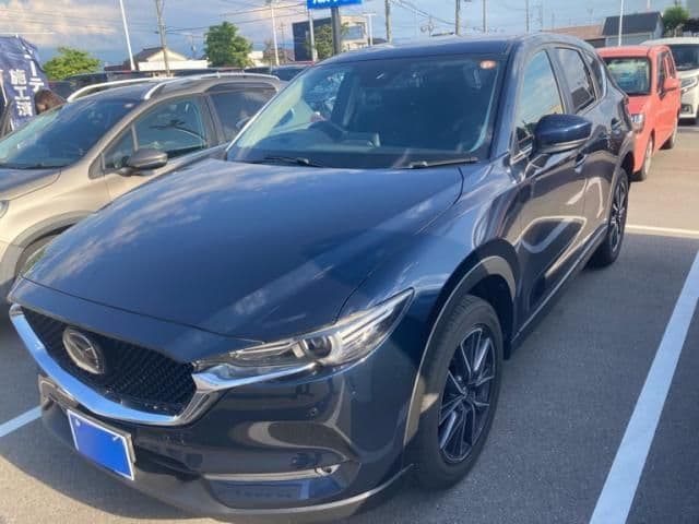 Car image 1
