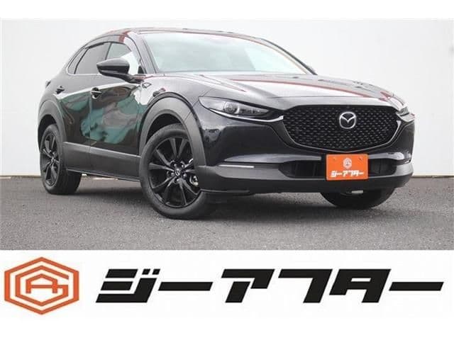 Car image 1