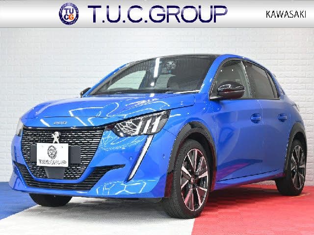 Car image 1