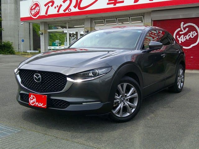 Car image 1