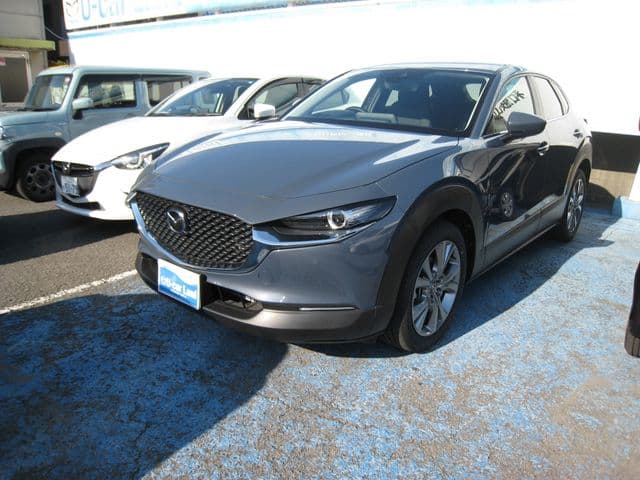 Car image 1