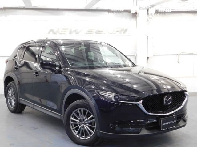 Car image 1