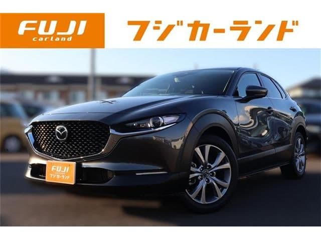 Car image 1