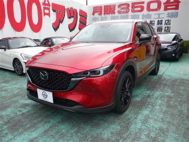 Car image 1