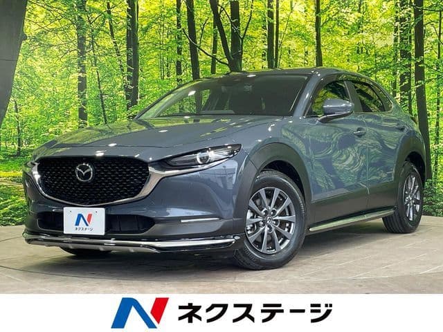 Car image 1