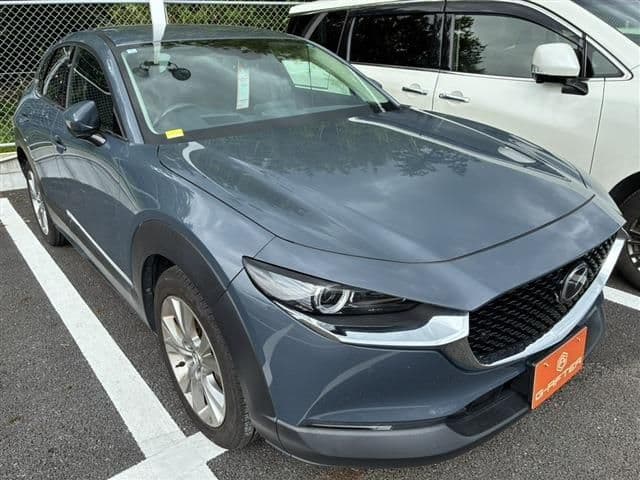 Car image 1
