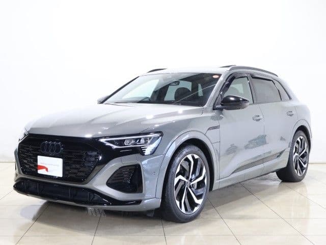 AUDI AUDI Q8 e-tron
