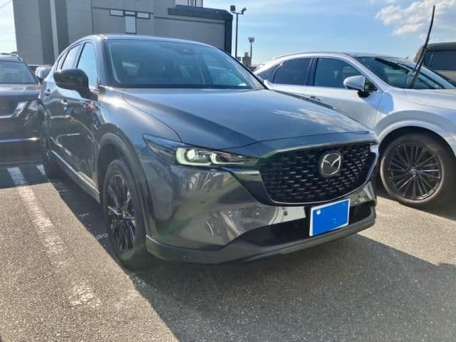 Car image 1