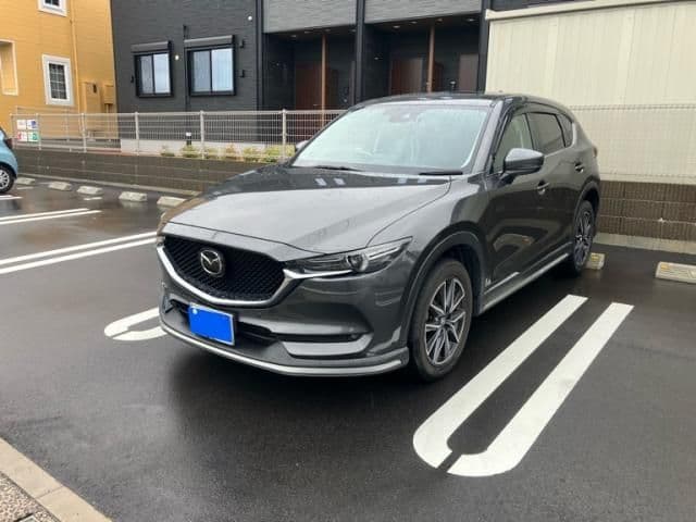 Car image 1