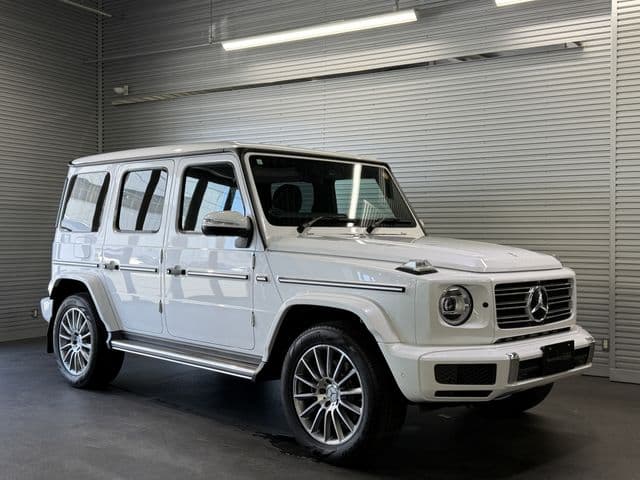 MERCEDES BENZ MERCEDES BENZ G class