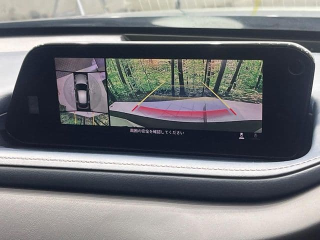 Car thumbnail 4