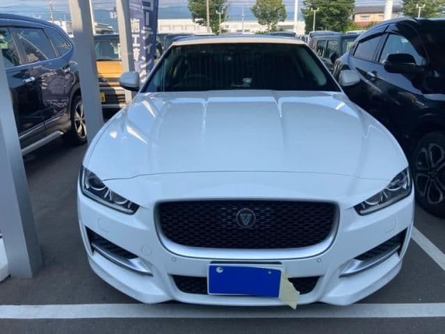 JAGUAR