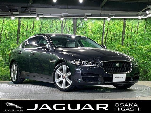 JAGUAR