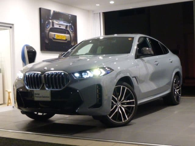 BMW BMW X6