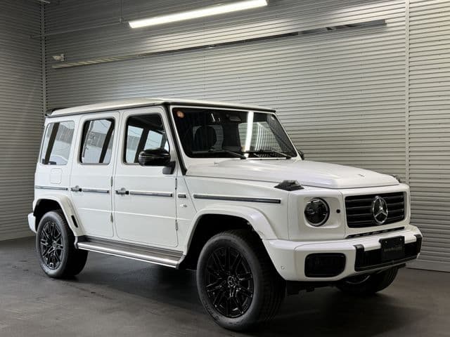 MERCEDES BENZ MERCEDES BENZ G class