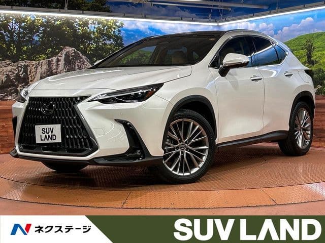 TOYOTA LEXUS NX250