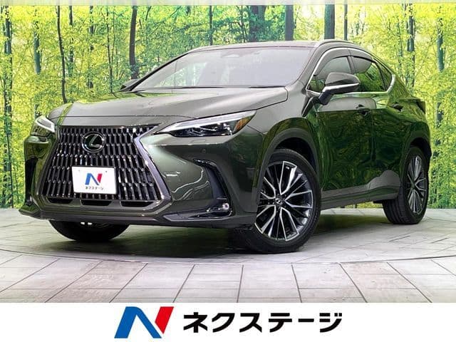 TOYOTA LEXUS NX350h AWD