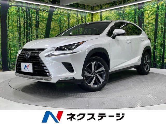 TOYOTA LEXUS NX300h