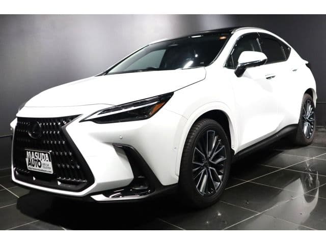 TOYOTA LEXUS NX350h AWD