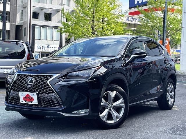 TOYOTA LEXUS NX300h