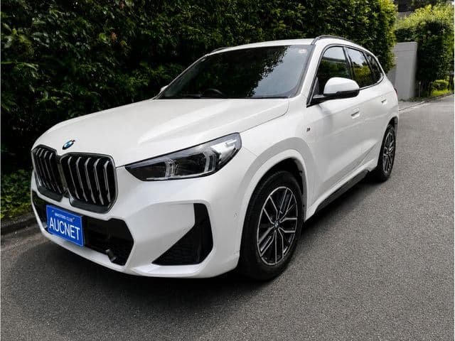BMW BMW X1